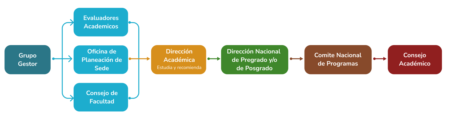 Diagrama del flujo del proceso de apertura de un programa desde el grupo gestor hasta el consejo academico